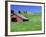 Barn in Field of Wheat, Palouse Area, Washington, USA-Janell Davidson-Framed Photographic Print