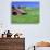 Barn in Field of Wheat, Palouse Area, Washington, USA-Janell Davidson-Photographic Print displayed on a wall