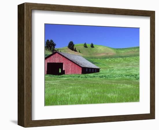Barn in Field of Wheat, Palouse Area, Washington, USA-Janell Davidson-Framed Photographic Print