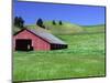 Barn in Field of Wheat, Palouse Area, Washington, USA-Janell Davidson-Mounted Photographic Print