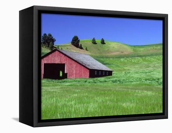 Barn in Field of Wheat, Palouse Area, Washington, USA-Janell Davidson-Framed Stretched Canvas