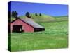 Barn in Field of Wheat, Palouse Area, Washington, USA-Janell Davidson-Stretched Canvas