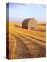 Barn in Harvested Field-Terry Eggers-Stretched Canvas