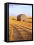 Barn in Harvested Field-Terry Eggers-Framed Stretched Canvas