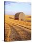 Barn in Harvested Field-Terry Eggers-Stretched Canvas