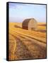 Barn in Harvested Field-Terry Eggers-Framed Stretched Canvas