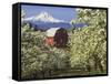 Barn in Orchard Below Mt. Hood-John McAnulty-Framed Stretched Canvas