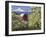 Barn in Orchard Below Mt. Hood-John McAnulty-Framed Premium Photographic Print