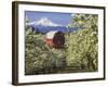 Barn in Orchard Below Mt. Hood-John McAnulty-Framed Photographic Print