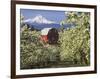 Barn in Orchard Below Mt. Hood-John McAnulty-Framed Photographic Print