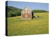 Barn in Rape Field in Summer, Lofoten, Nordland, Arctic Norway, Scandinavia, Europe-Dominic Webster-Stretched Canvas