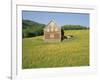 Barn in Rape Field in Summer, Lofoten, Nordland, Arctic Norway, Scandinavia, Europe-Dominic Webster-Framed Photographic Print