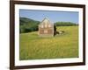 Barn in Rape Field in Summer, Lofoten, Nordland, Arctic Norway, Scandinavia, Europe-Dominic Webster-Framed Photographic Print