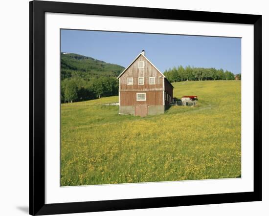 Barn in Rape Field in Summer, Lofoten, Nordland, Arctic Norway, Scandinavia, Europe-Dominic Webster-Framed Photographic Print