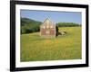 Barn in Rape Field in Summer, Lofoten, Nordland, Arctic Norway, Scandinavia, Europe-Dominic Webster-Framed Photographic Print