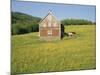 Barn in Rape Field in Summer, Lofoten, Nordland, Arctic Norway, Scandinavia, Europe-Dominic Webster-Mounted Photographic Print