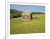 Barn in Rape Field in Summer, Lofoten, Nordland, Arctic Norway, Scandinavia, Europe-Dominic Webster-Framed Photographic Print