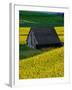 Barn in Rape Seed Field-Darrell Gulin-Framed Photographic Print