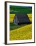 Barn in Rape Seed Field-Darrell Gulin-Framed Photographic Print