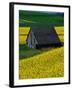 Barn in Rape Seed Field-Darrell Gulin-Framed Photographic Print