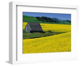 Barn in Rape Seed Field-Darrell Gulin-Framed Photographic Print