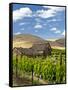 Barn in Vineyard, Yakima, Washington, USA-Richard Duval-Framed Stretched Canvas