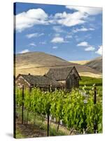 Barn in Vineyard, Yakima, Washington, USA-Richard Duval-Stretched Canvas