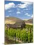 Barn in Vineyard, Yakima, Washington, USA-Richard Duval-Mounted Premium Photographic Print