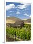 Barn in Vineyard, Yakima, Washington, USA-Richard Duval-Framed Photographic Print