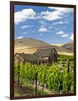 Barn in Vineyard, Yakima, Washington, USA-Richard Duval-Framed Photographic Print