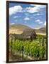 Barn in Vineyard, Yakima, Washington, USA-Richard Duval-Framed Photographic Print