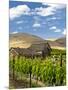 Barn in Vineyard, Yakima, Washington, USA-Richard Duval-Mounted Photographic Print