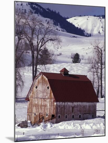 Barn in Winter, Methow Valley, Washington, USA-William Sutton-Mounted Photographic Print