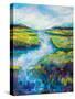 Barn Island View-Jeanette Vertentes-Stretched Canvas