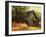 Barn Loft Memories-Danny Head-Framed Art Print