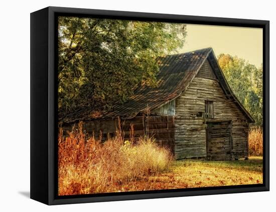 Barn Loft Memories-Danny Head-Framed Stretched Canvas