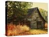 Barn Loft Memories-Danny Head-Stretched Canvas