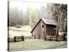 Barn near Sonora-Laura Culver-Stretched Canvas