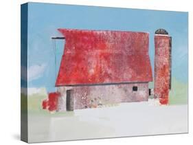 Barn No. 36-Anthony Grant-Stretched Canvas