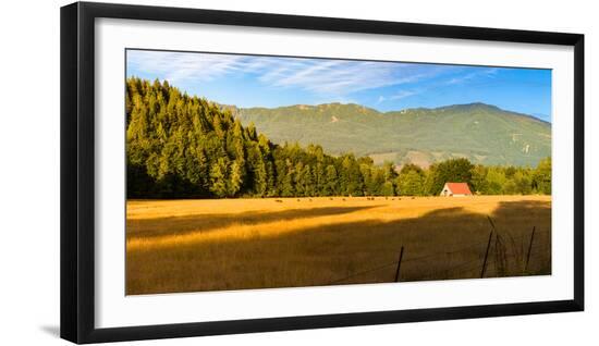Premium Photographic Print, , large