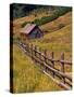 Barn on Last Dollar Road near Telluride, Colorado, USA-Julie Eggers-Stretched Canvas