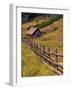 Barn on Last Dollar Road near Telluride, Colorado, USA-Julie Eggers-Framed Photographic Print