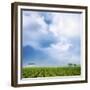 Barn on the Edge of the Field-Don Schwartz-Framed Art Print