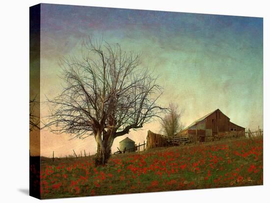 Barn on the Hill-Chris Vest-Stretched Canvas
