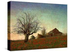 Barn on the Hill-Chris Vest-Stretched Canvas