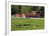 Barn on Vashon Island, Tacoma, Washington State, United States of America, North America-Richard Cummins-Framed Photographic Print