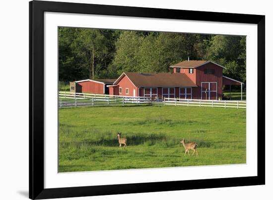 Barn on Vashon Island, Tacoma, Washington State, United States of America, North America-Richard Cummins-Framed Photographic Print