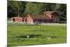 Barn on Vashon Island, Tacoma, Washington State, United States of America, North America-Richard Cummins-Mounted Photographic Print