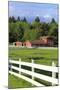 Barn on Vashon Island, Tacoma, Washington State, United States of America, North America-Richard Cummins-Mounted Photographic Print