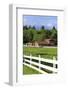 Barn on Vashon Island, Tacoma, Washington State, United States of America, North America-Richard Cummins-Framed Photographic Print